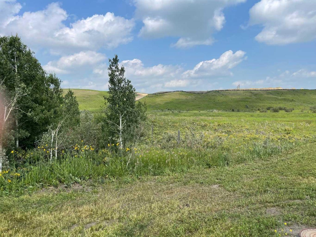 Photo of 13 Valarosa Garden, Didsbury, AB T0M 0W0 (MLS # A2331073)