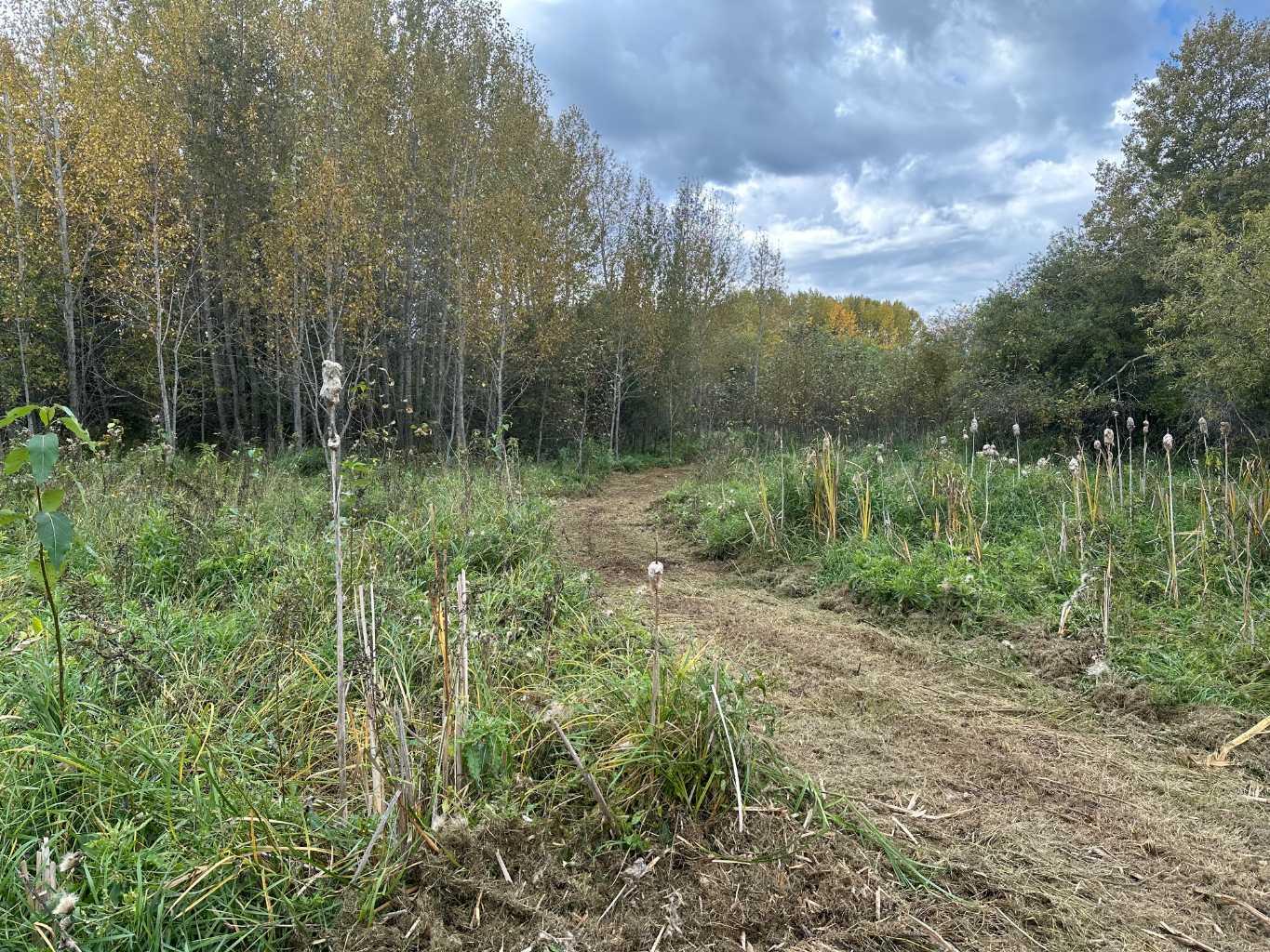 61015 Range Road 174