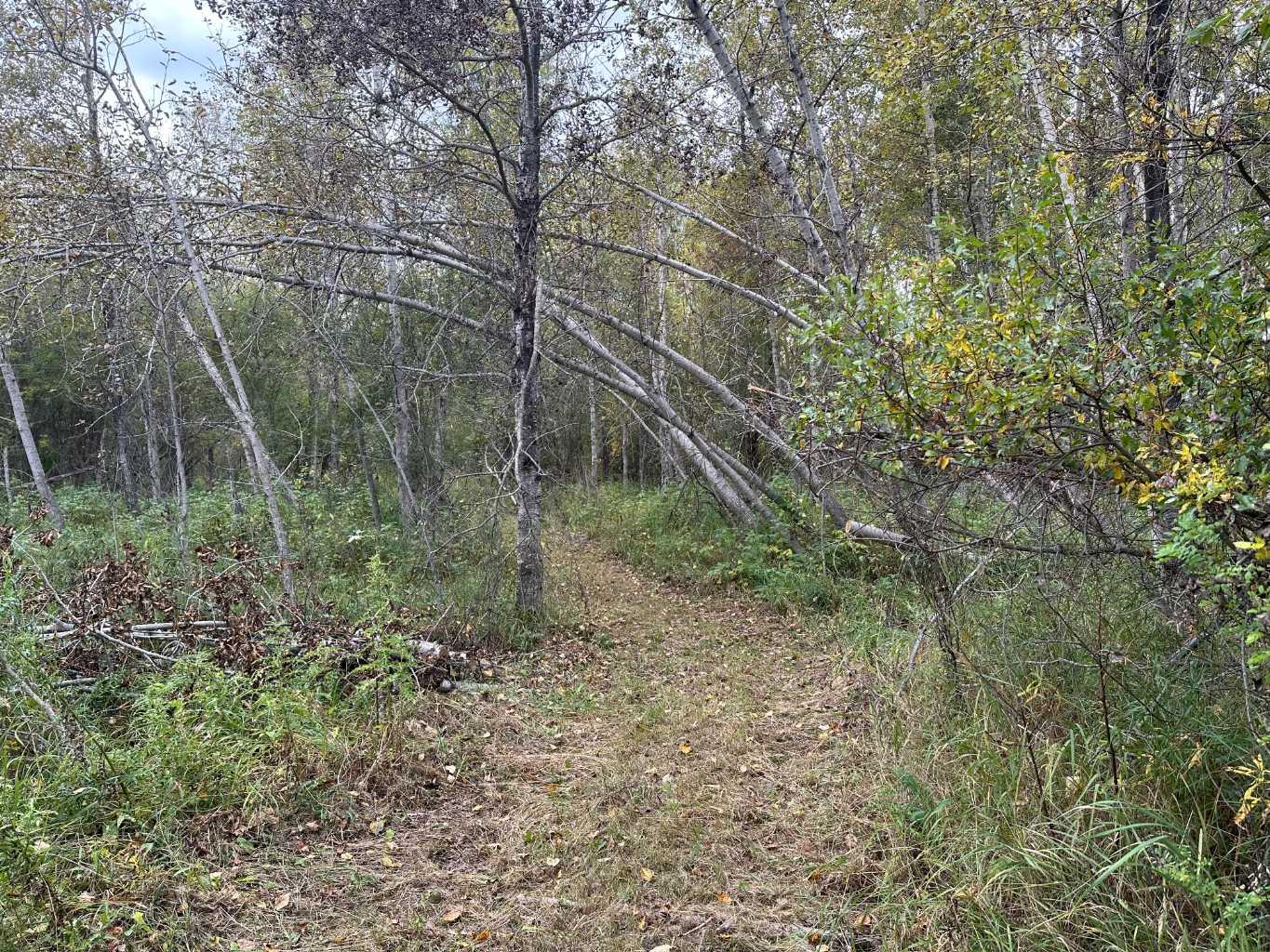 61015 Range Road 174