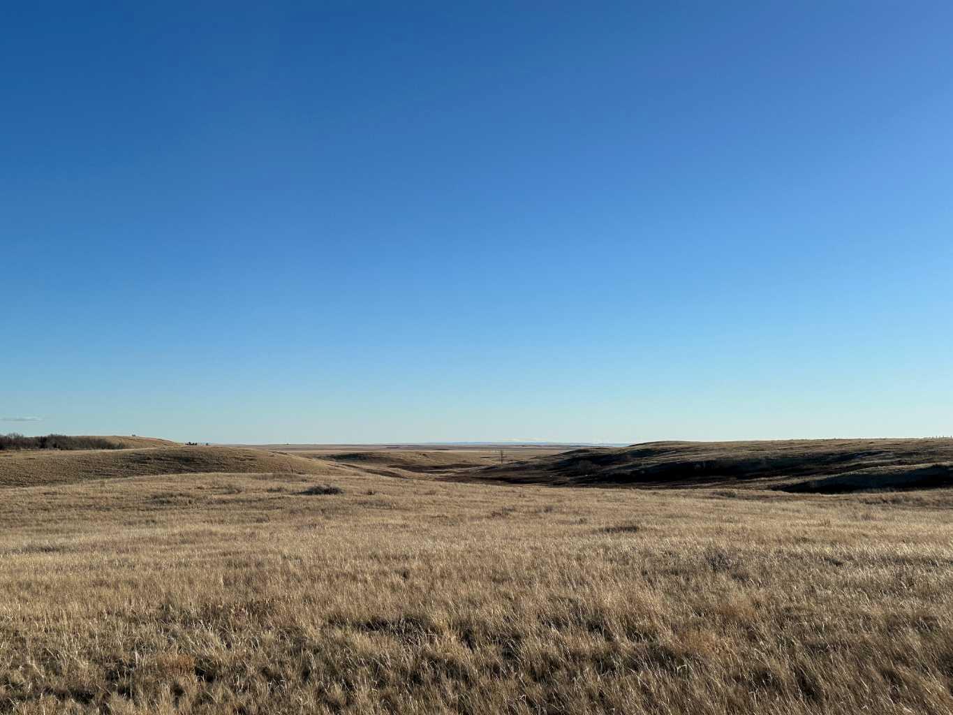 Along Township Road 164