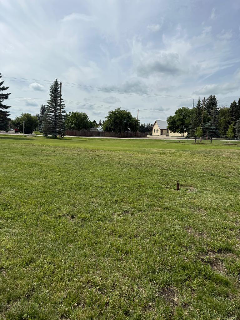 Photo of 116 2 Avenue W, Rockyford, AB T0J 2R0 (MLS # A2345525)