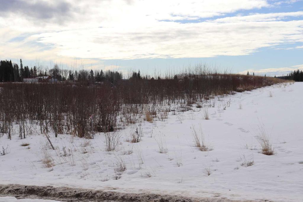 Photo of 7301 Glenwood Drive, Edson, AB T7E 1N1 (MLS # A2114666)