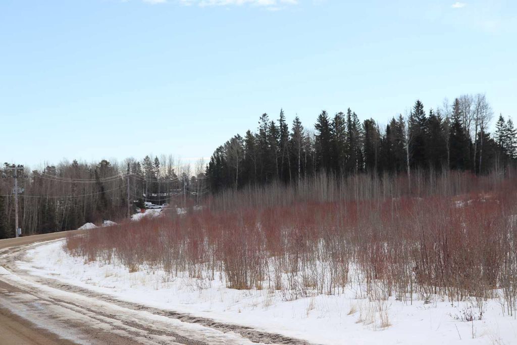 Photo of 7301 Glenwood Drive, Edson, AB T7E 1N1 (MLS # A2114666)