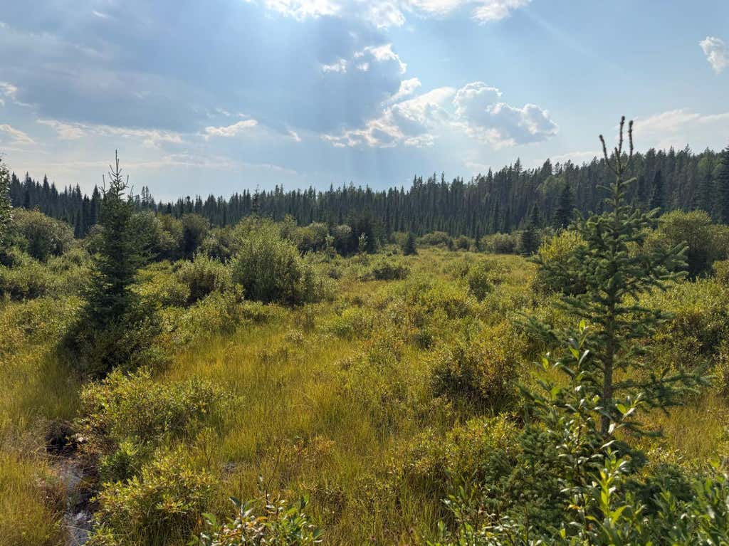 Photo of 63067 Township Road 311, Rural Bighorn No. 8, M.D. of, AB T0M 0X1 (MLS # A2340122)