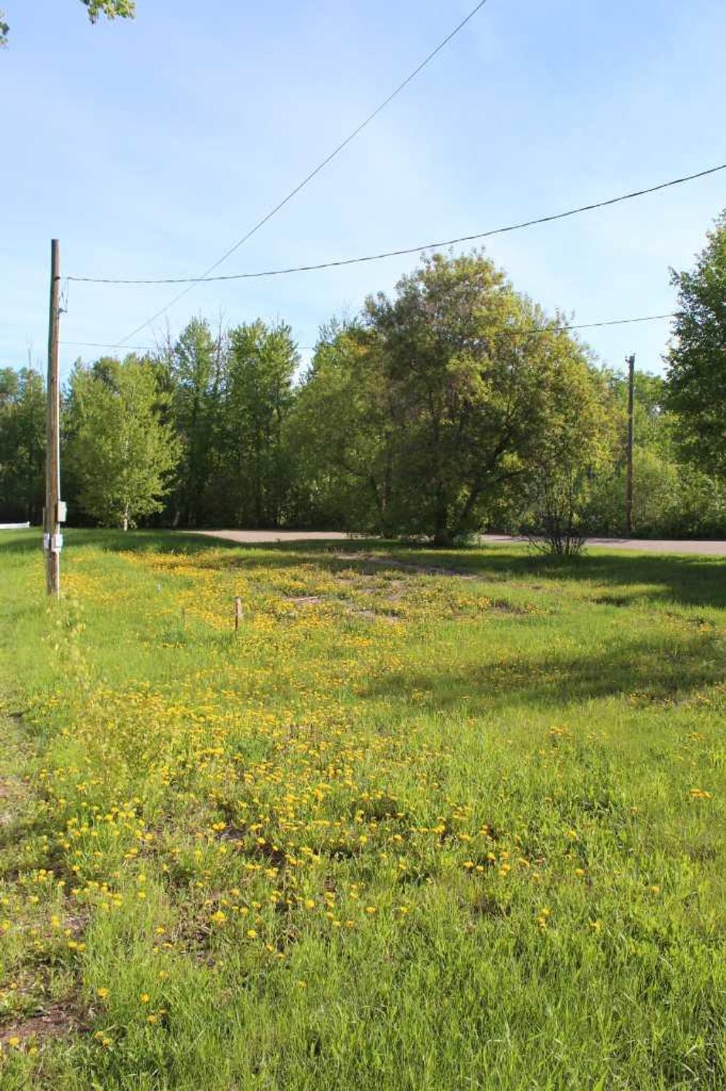 Photo of 307 3rd Street SE, Manning, AB T0H 2M0 (MLS # A2098254)