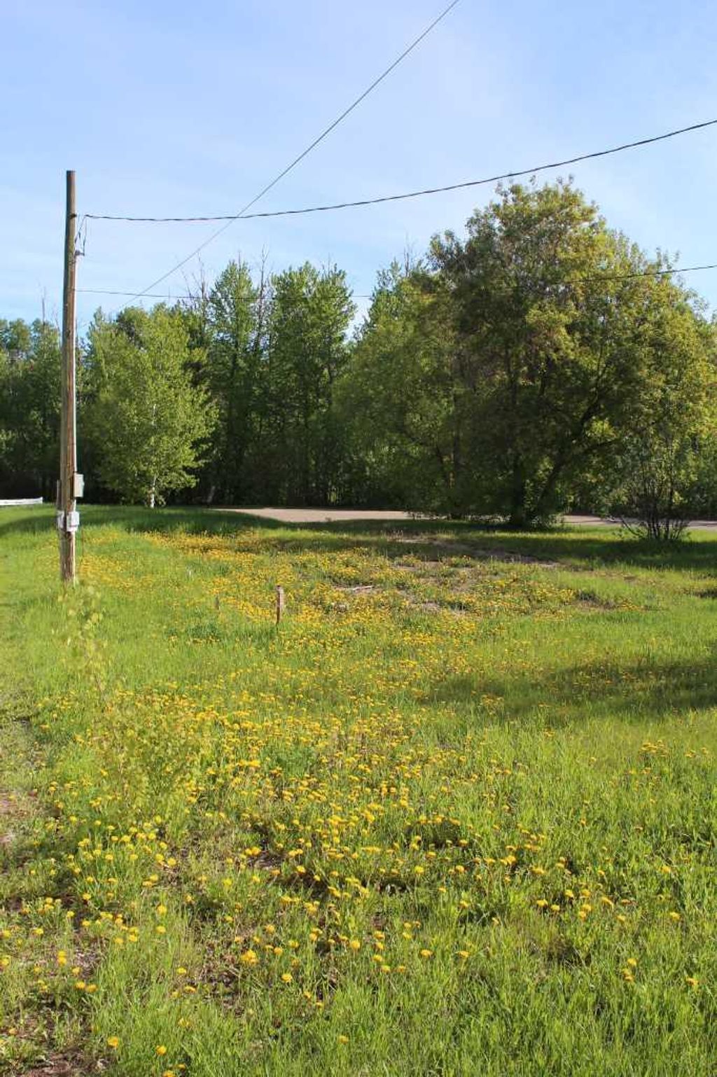 Photo of 307 3rd Street SE, Manning, AB T0H 2M0 (MLS # A2098254)