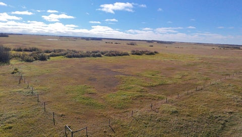 Photo of 23-39-17 W4 St, Rural Stettler No. 6, County of, AB T0C 2L0 (MLS # A2351835)