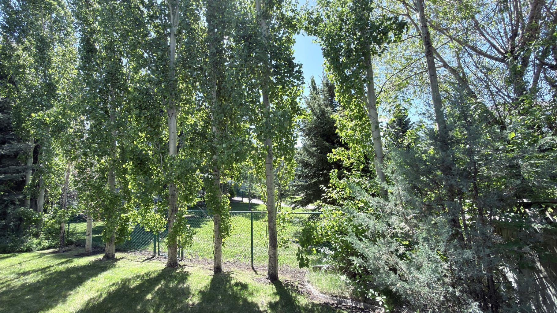 117 Woodpark Close SW
