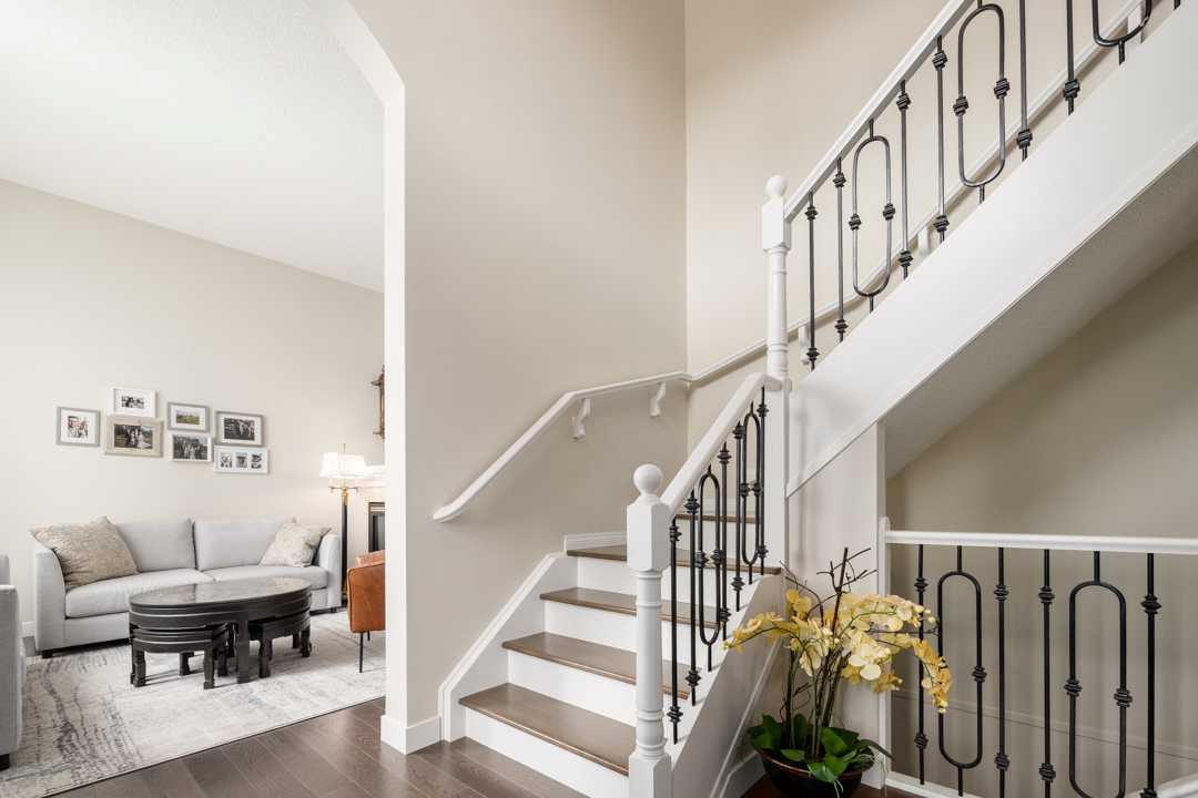 103 Palomino Boulevard