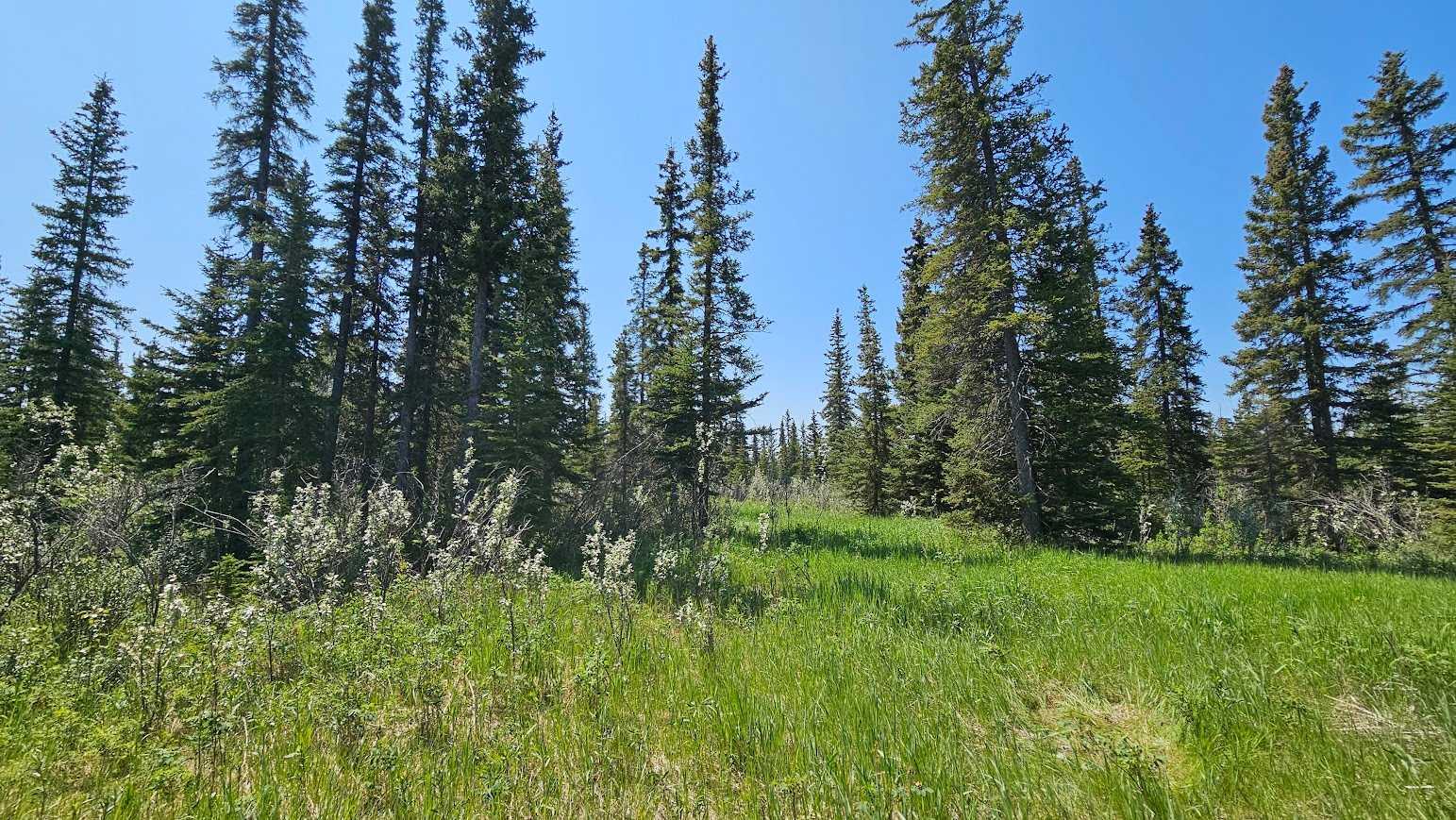 34364 Range Road 42 19