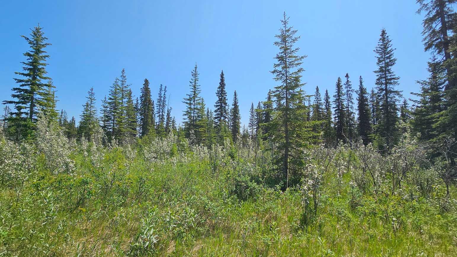 34364 Range Road 42 19