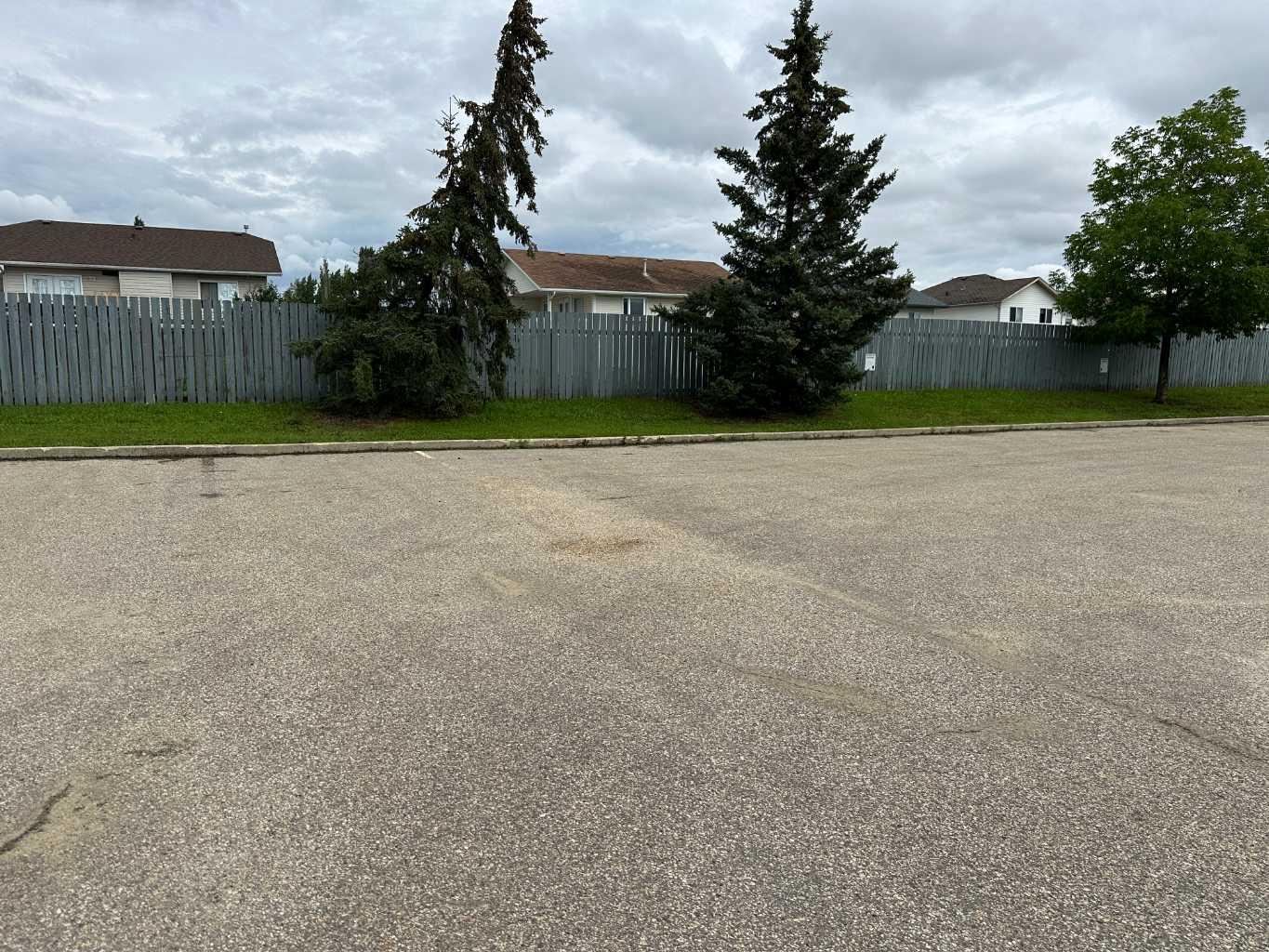 113 10530 117 Avenue Unit 1