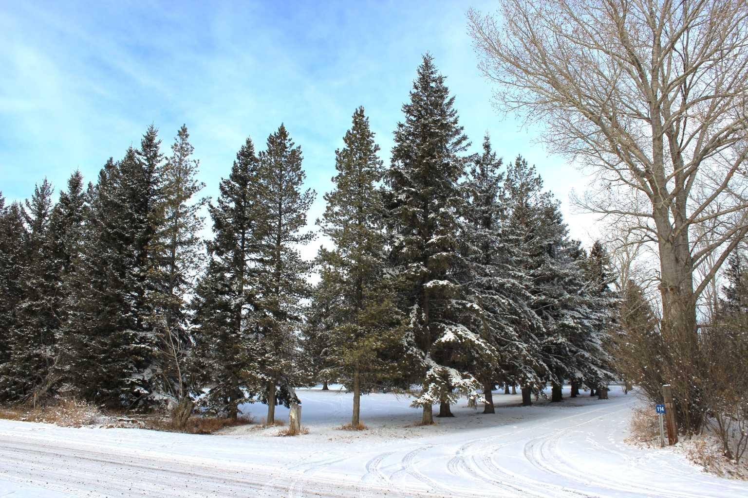 Blue Sign 114 145006 Cassils Rd Subdivision