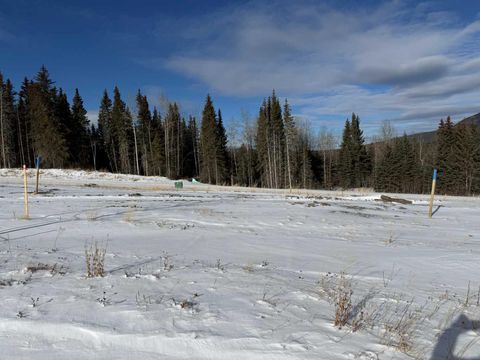 440 LILY Avenue Nordegg AB T0M 2H0