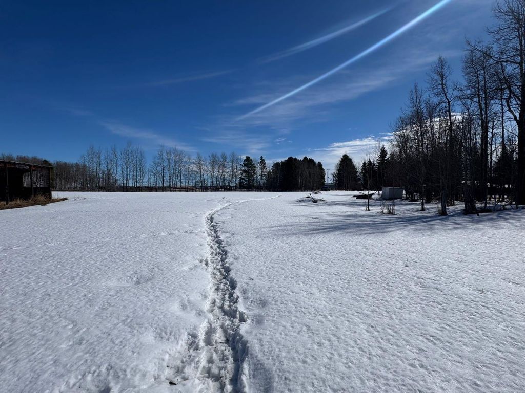 Photo of 414006 Range Road 6-3, Rural Clearwater County, AB T4T 2A1 (MLS # A2294048)