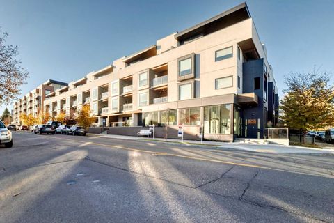 3375 15 Street SW 311 Calgary AB T2T 4A2