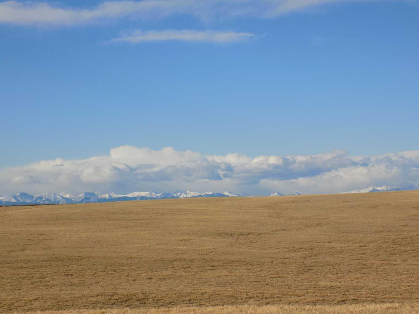 RR292 Symon's Valley Road