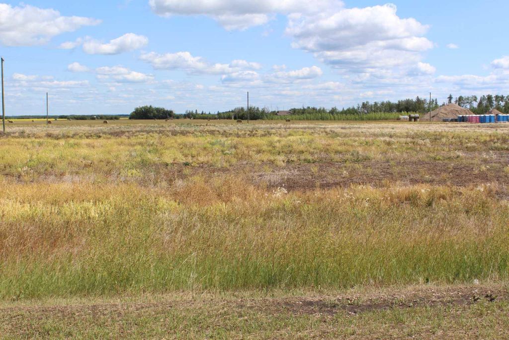 Photo of 901 Main Street, Manning, AB T0H 2M0 (MLS # A2019178)