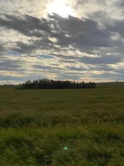Range Road 263