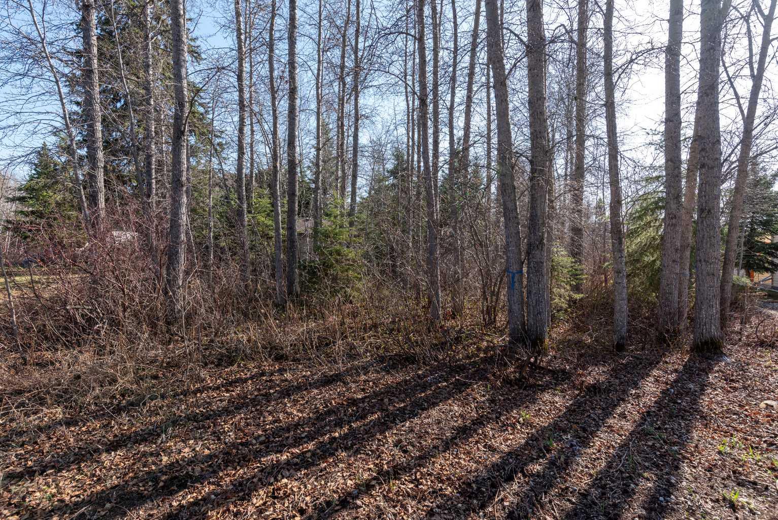 916 Brightsand Place