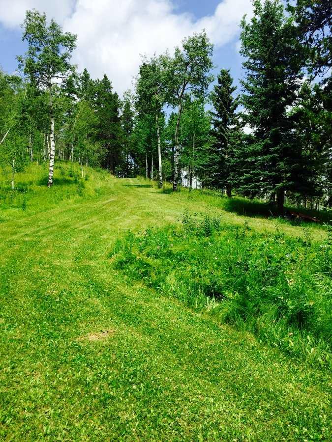 215 Wintergreen Road