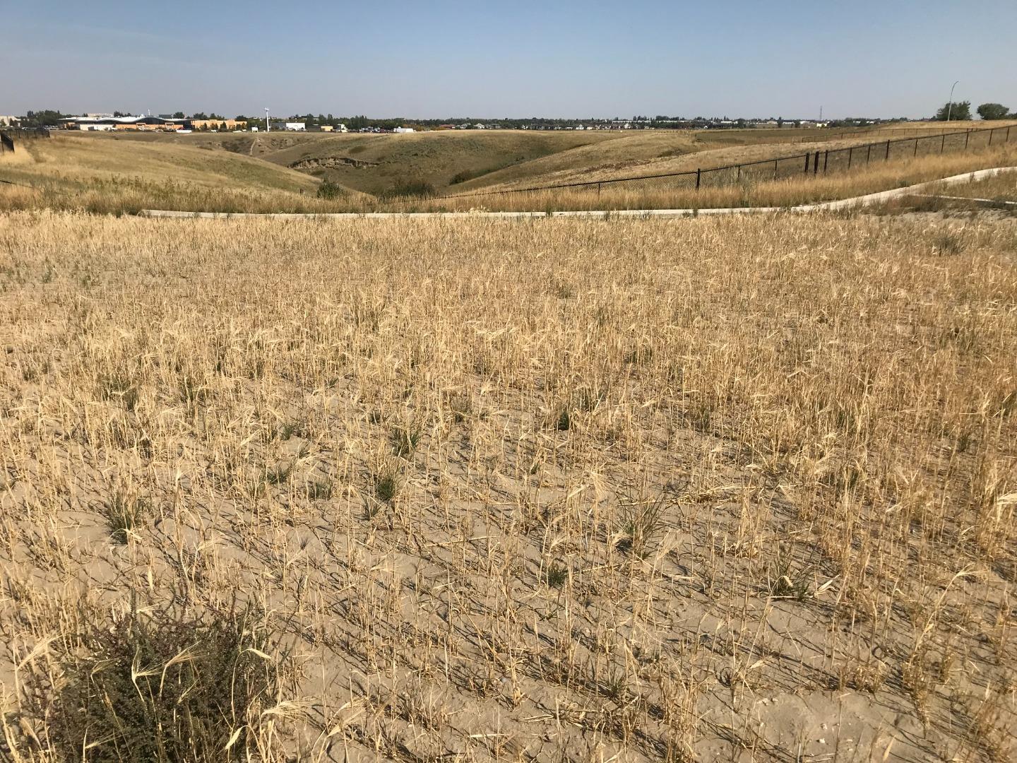 123 Sandstone Road S