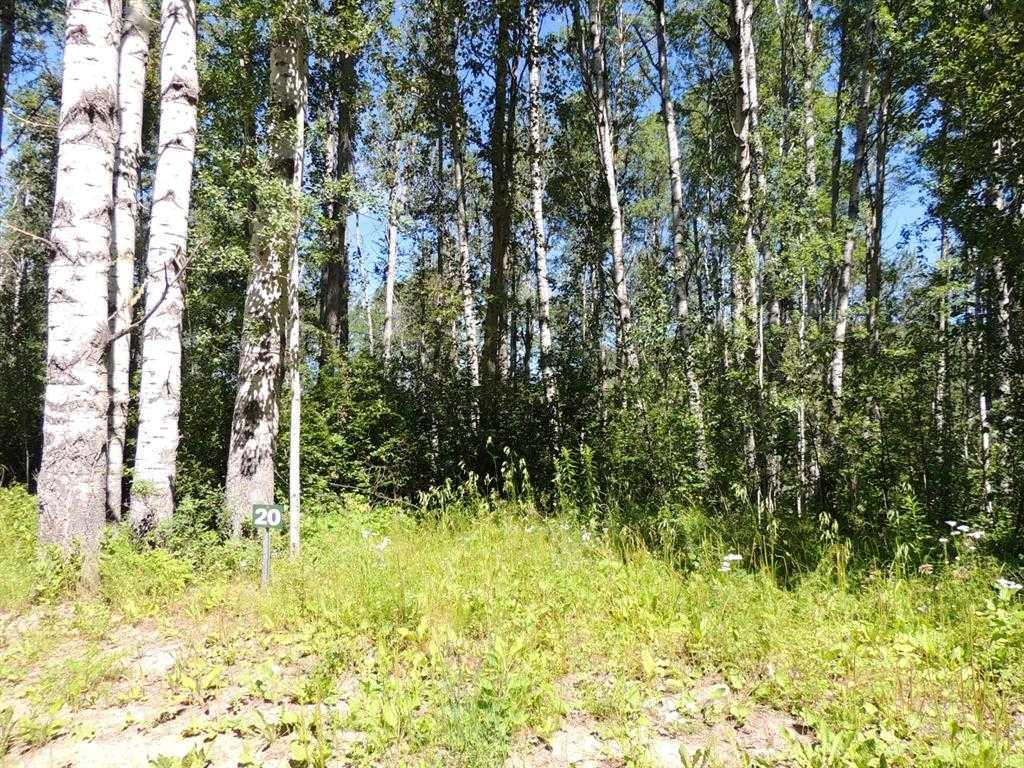 Lot #20 Wapiti River SW-21-69-10-W6