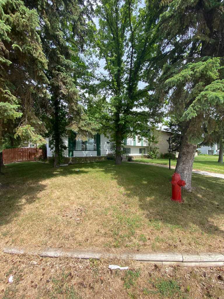 85 Ingram Park Drive