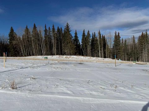 452 LILY Avenue Nordegg AB T0M 2H0