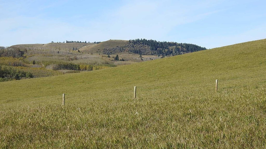 Photo of Basin Road, Rural Willow Creek No. 26, M.D. of, AB T0L 1R0 (MLS # A2349013)