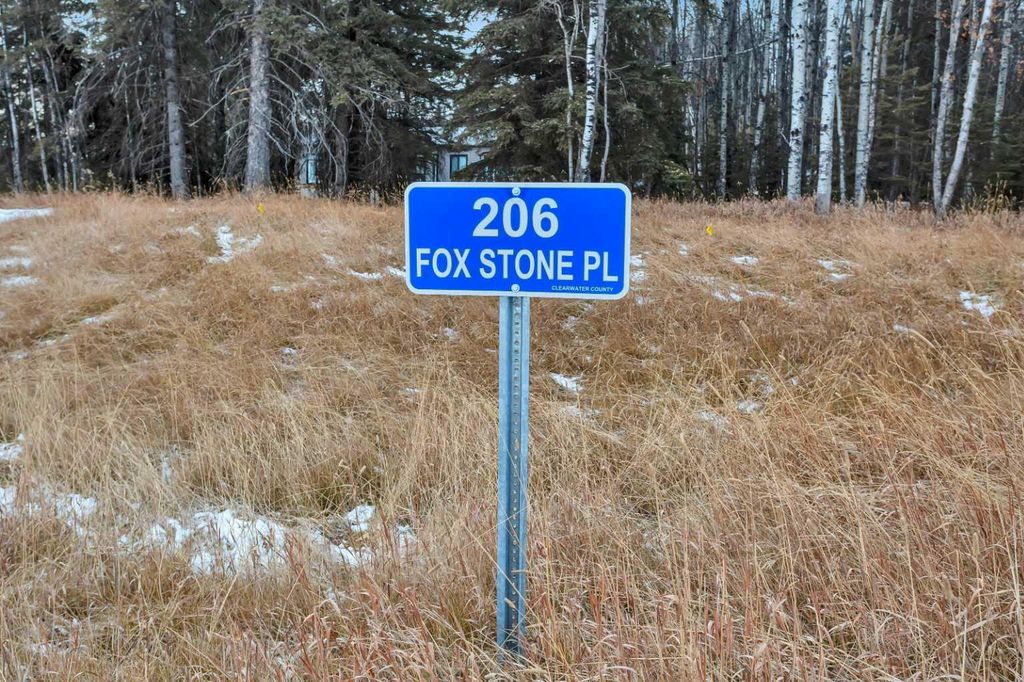 Photo of 206 FOX STONE Place, Rural Clearwater County, AB T4T 2A4 (MLS # A2001791)