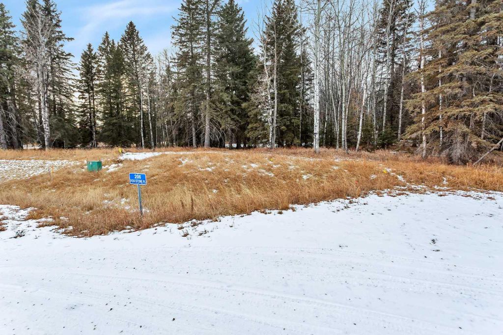 Photo of 206 FOX STONE Place, Rural Clearwater County, AB T4T 2A4 (MLS # A2001791)