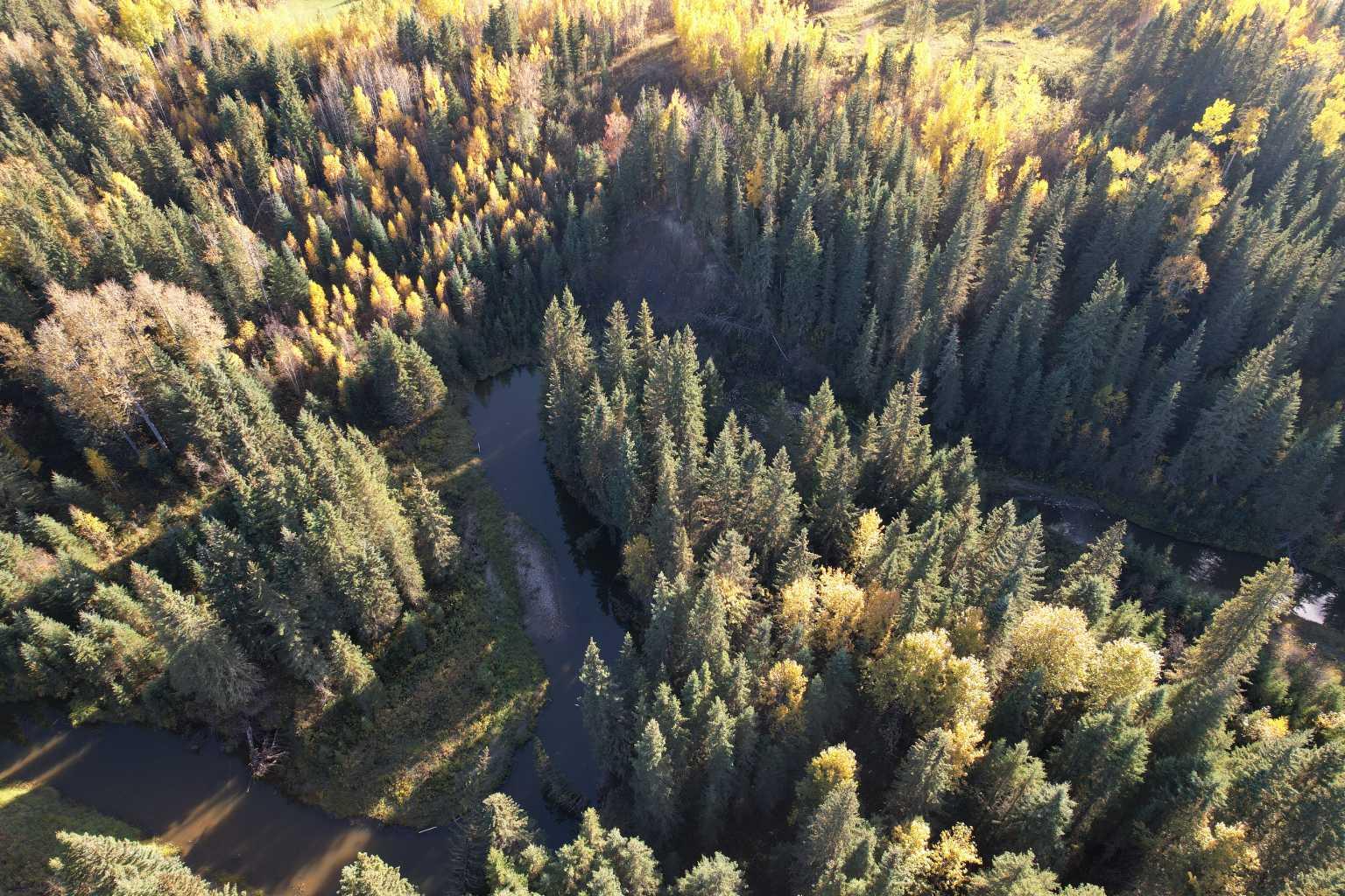 Lot 5 114046 Township 590