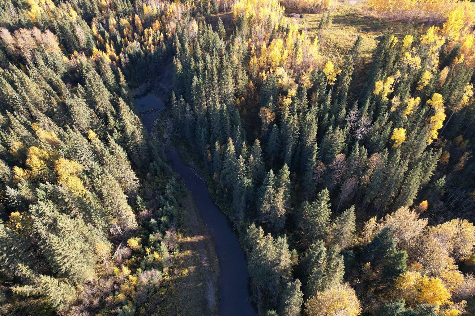 Lot 5 114046 Township 590