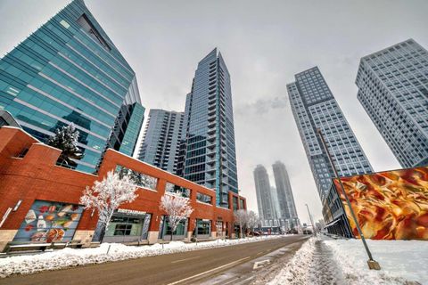 220 12 Avenue SE 401 Calgary AB T2G 0R5