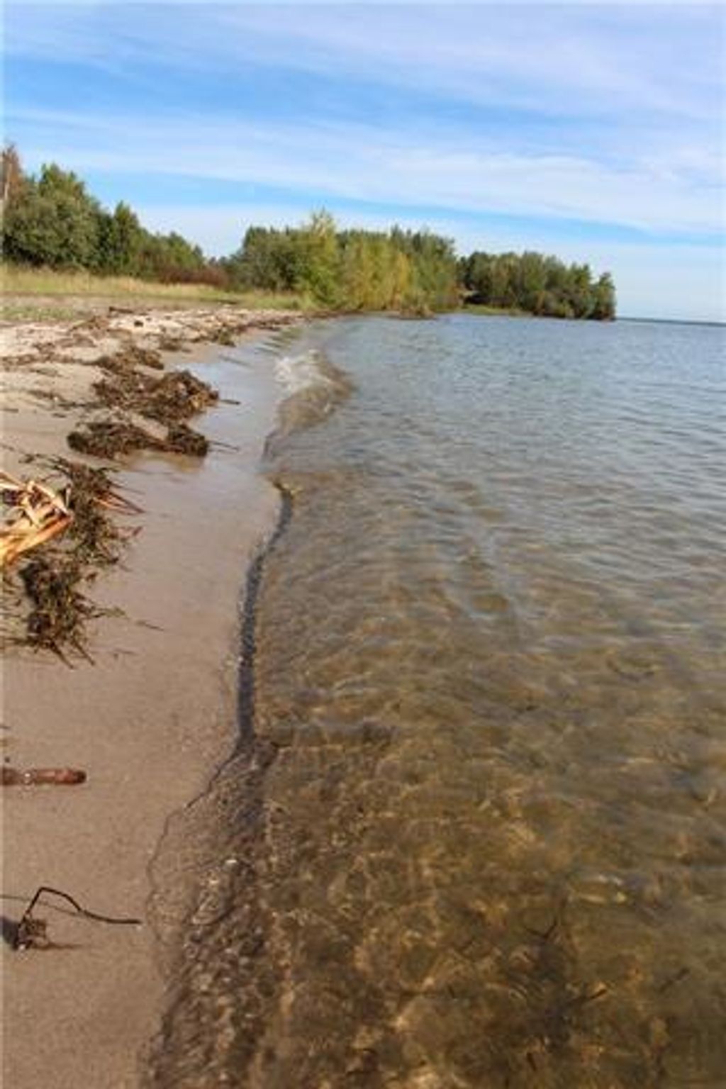 Photo of Lot 19 Campsite Road, Plamondon, AB T0A 2T0 (MLS # A1183637)