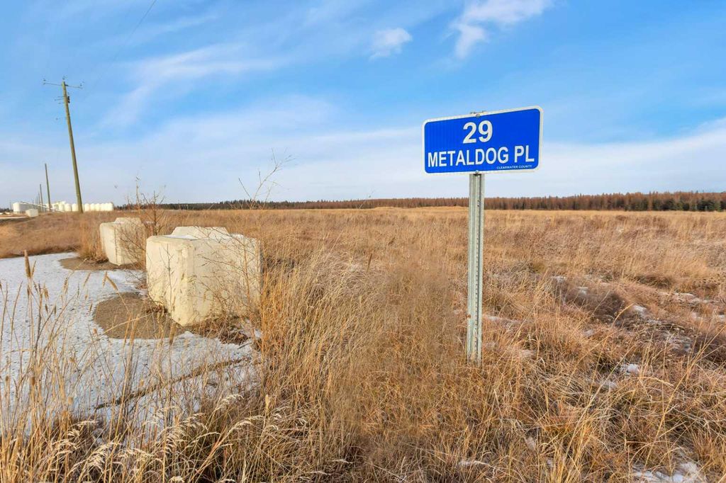 Photo of 29 METALDOG Place, Rural Clearwater County, AB T4T 2A2 (MLS # A2003129)