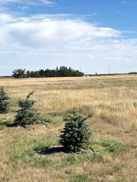 Photo of Near Coalhurst RR223, Coalhurst, AB T0L 0V2 (MLS # A2342615)