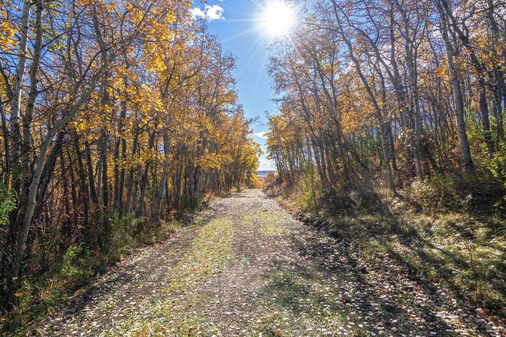 Photo of 306 Avenue W, Rural Foothills County, AB T2S 1A2 (MLS # A2265338)