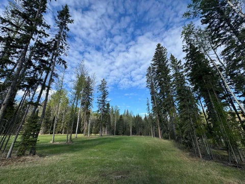 Photo of 153 MEADOW PONDS Drive, Rural Clearwater County, AB T4T 1A7 (MLS # A2302910)