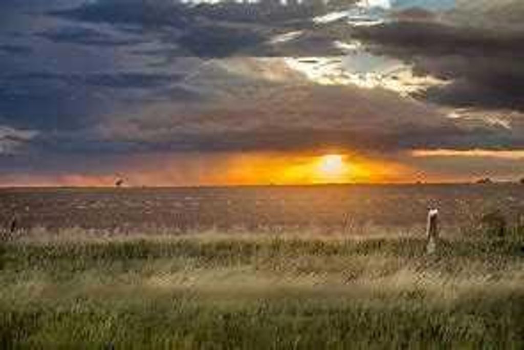 Photo of 245039 Range Road 244, Rural Wheatland County, AB T1P 0M2 (MLS # A2308822)