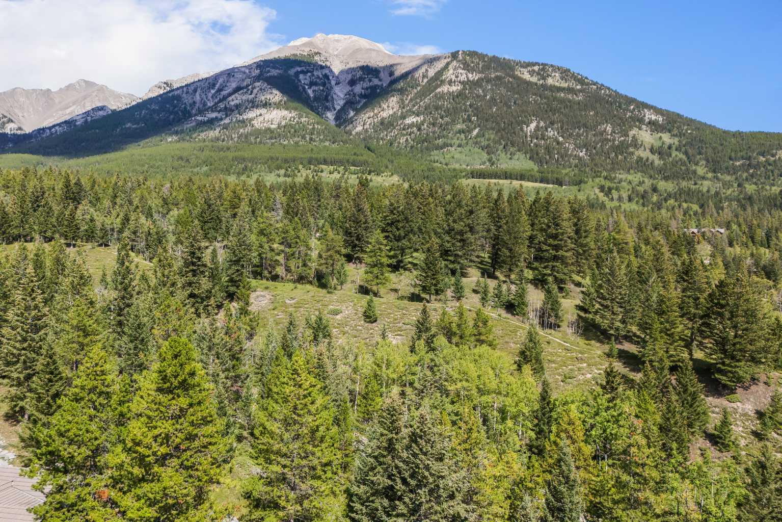 24 Blue Grouse Ridge