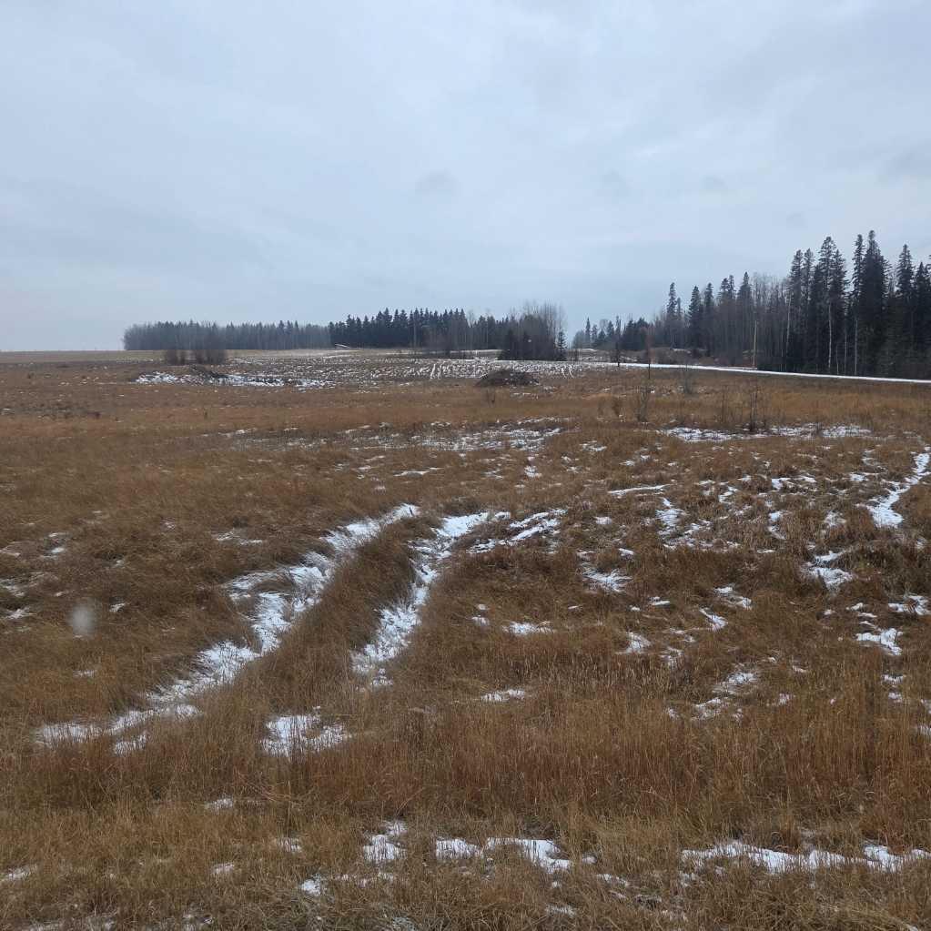 Lot 4 Range Road 175