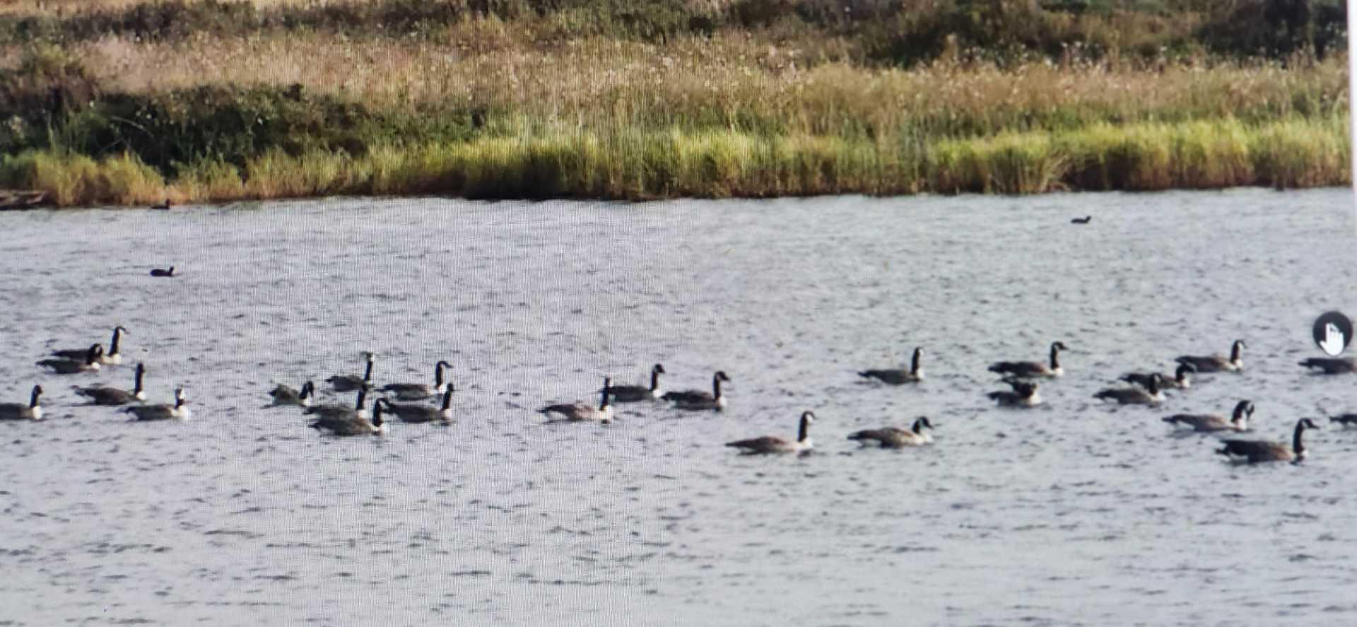 273250 Township Road 250 Road E