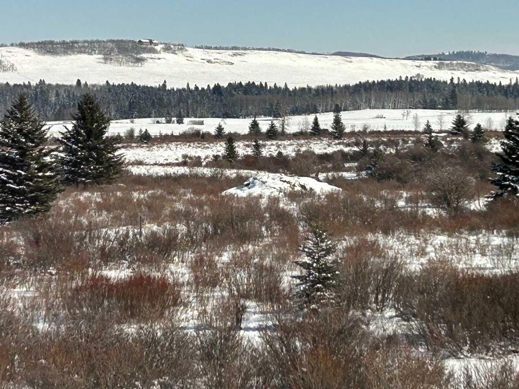 Photo of 240 Street 210 Avenue, Rural Foothills County, AB T0L 1W4 (MLS # A2289959)