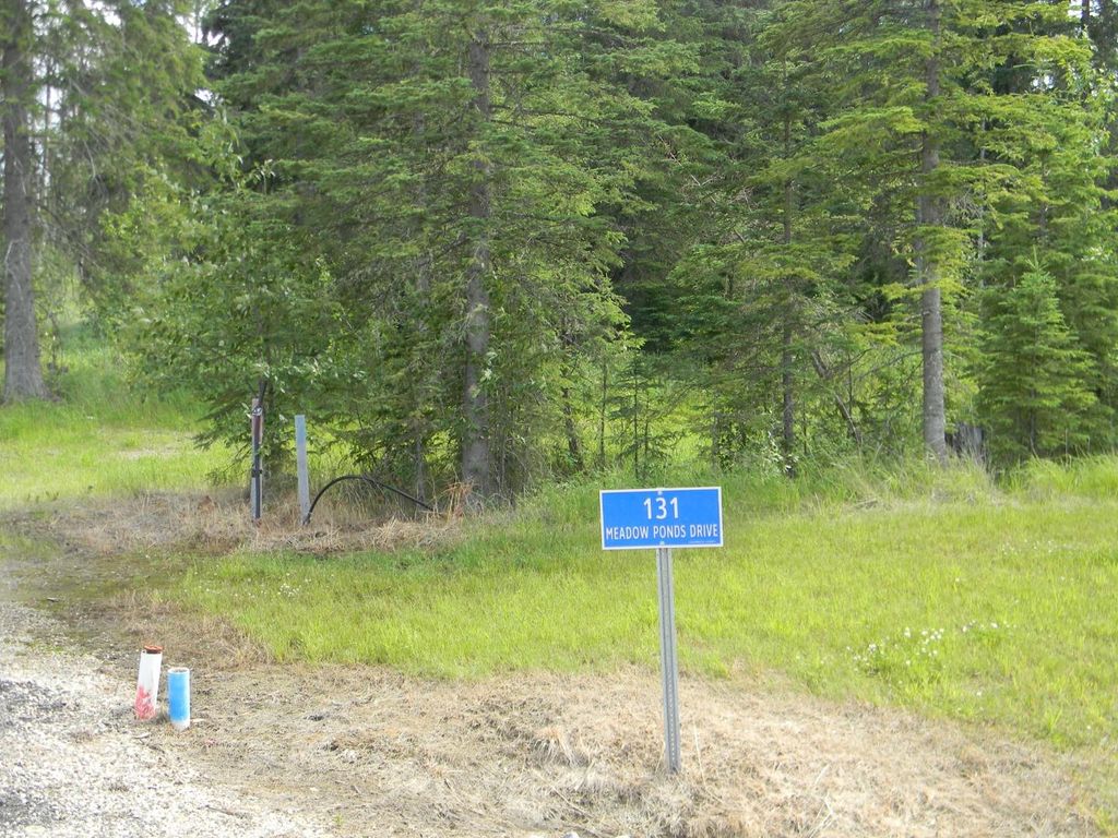 Photo of 131 Meadow Ponds Drive, Rural Clearwater County, AB T4T 1A7 (MLS # A1021056)