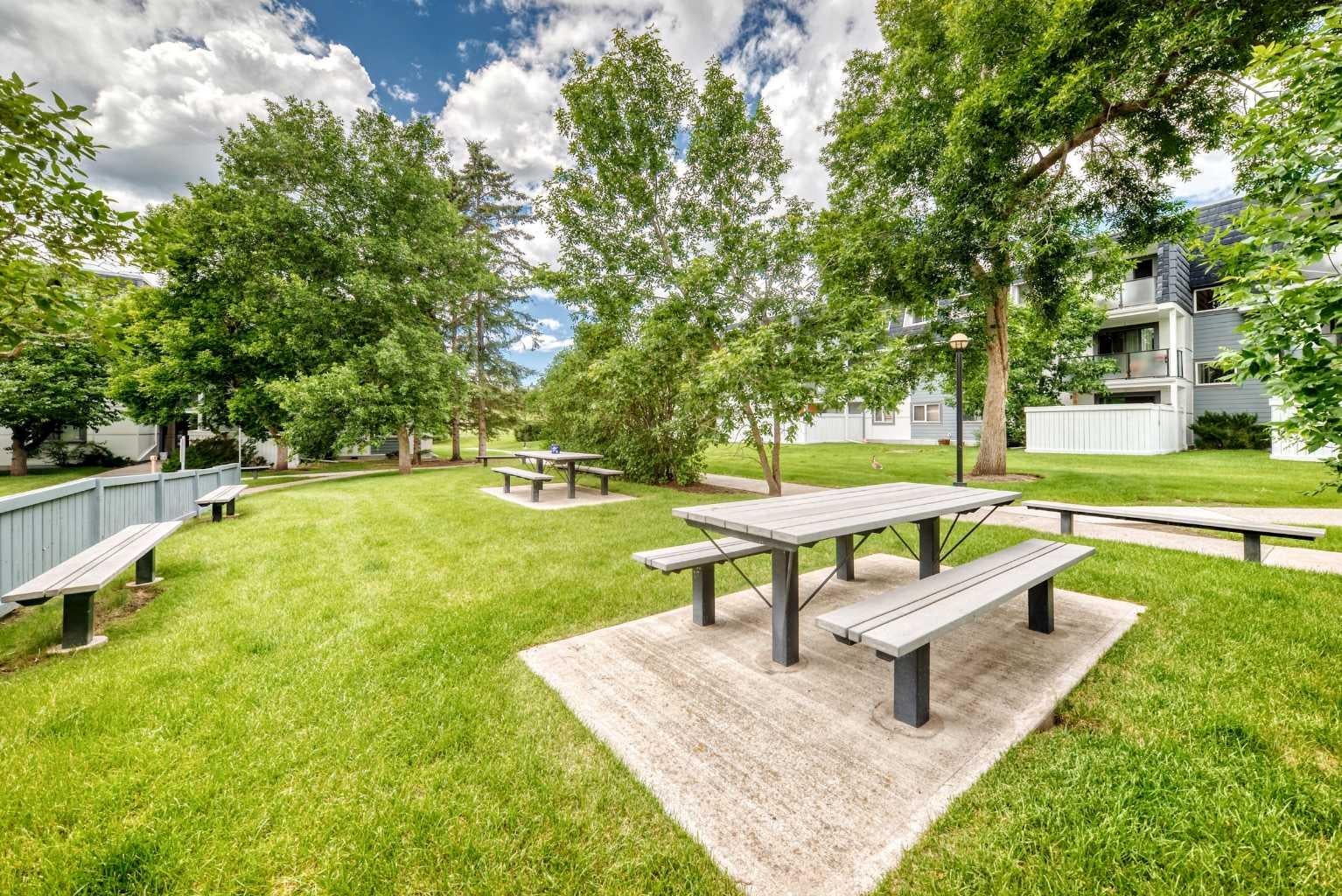 3115 51 Street SW 2303