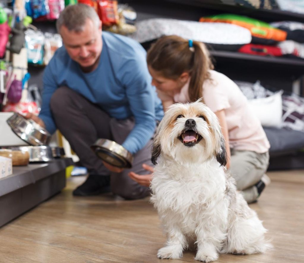 Photo of 123 Pet Store Way, Edmonton, AB T5G 3E5 (MLS # A2287984)