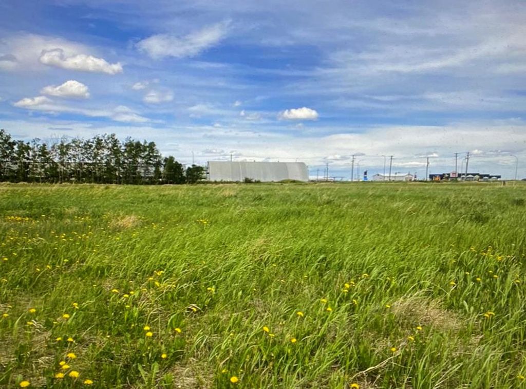 Photo of 4428 46A Avenue, Rycroft, AB T0H 3A0 (MLS # A2024960)