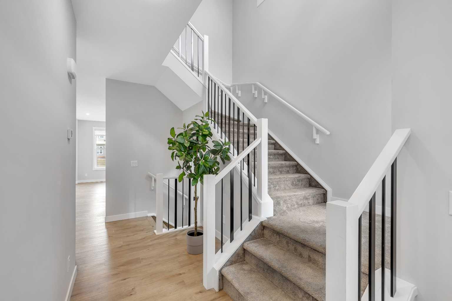 61 Calhoun Crescent